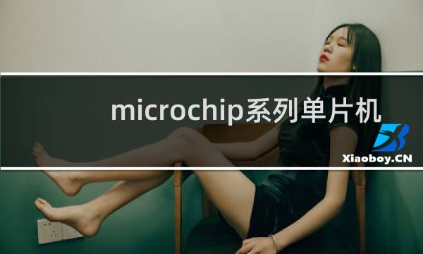 microchip系列单片机