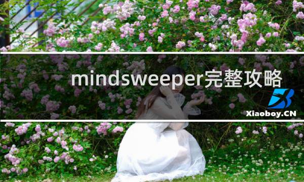 mindsweeper完整攻略