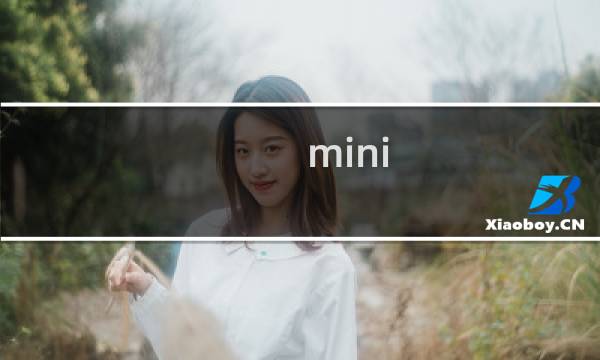 mini 攻略 车