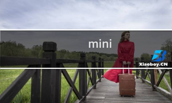 mini sim卡与内存卡的区别?