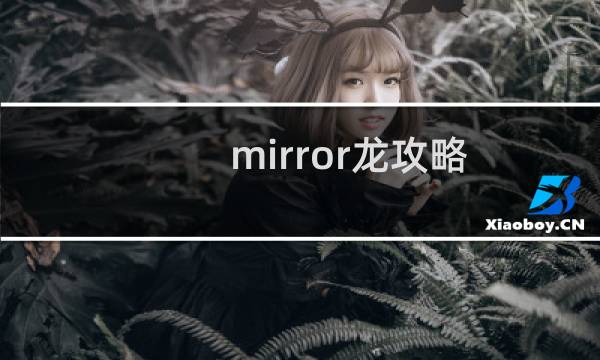 mirror龙攻略