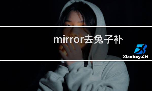 mirror去兔子补丁怎么用