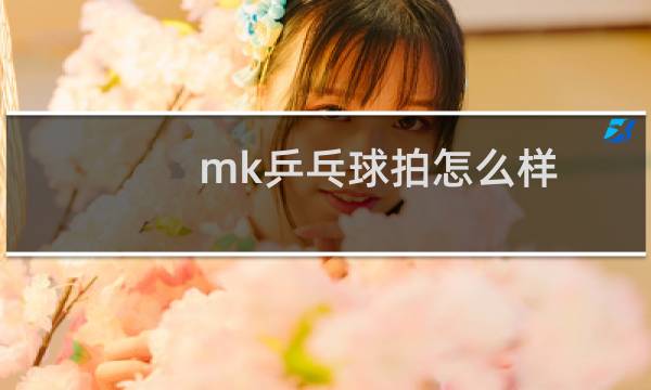 mk乒乓球拍怎么样
