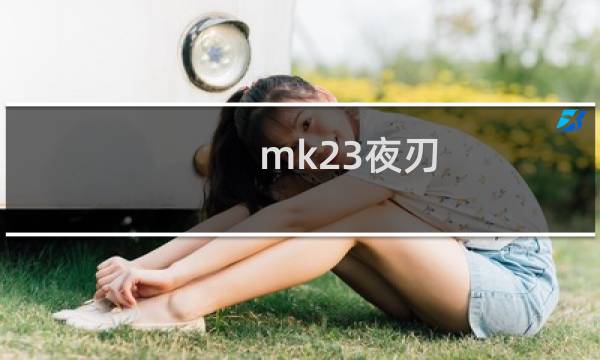 mk23夜刃（mk23）图片