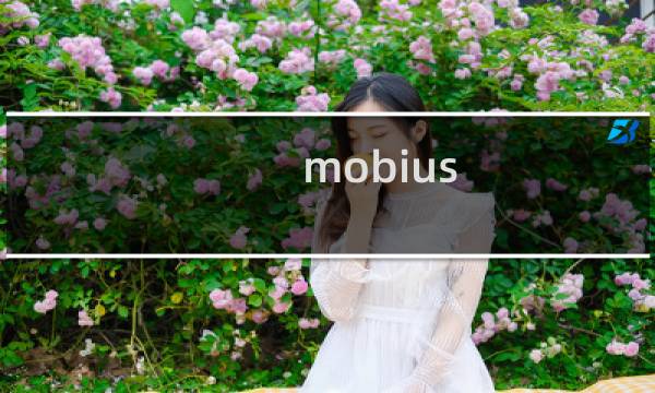mobius 最终幻想亚