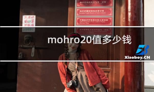 mohro20值多少钱