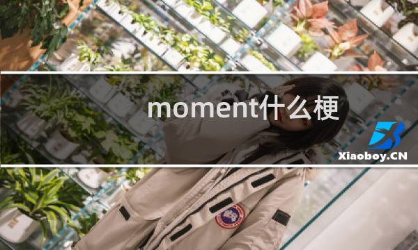 moment什么梗