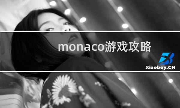 monaco游戏攻略