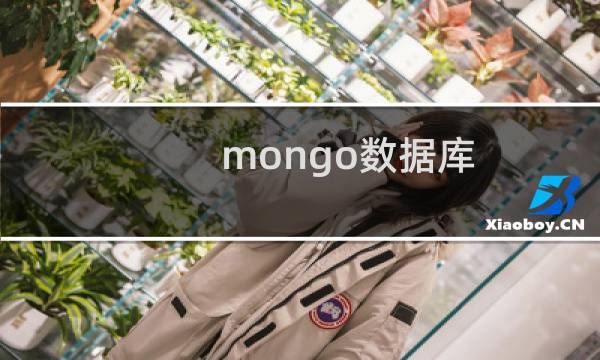 mongo数据库