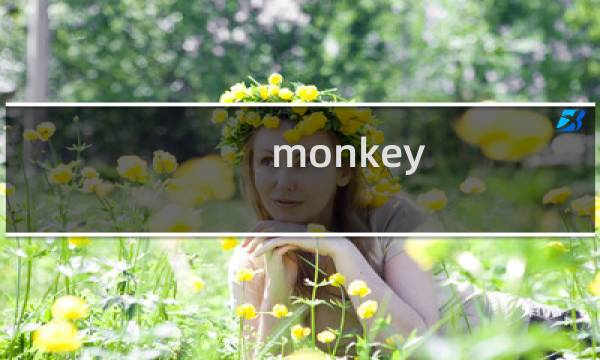 monkey ropes 攻略