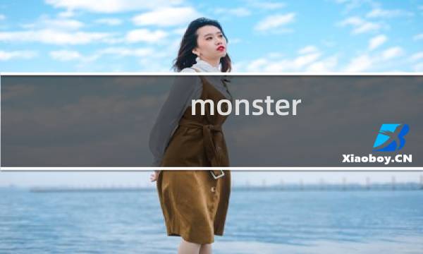 monster pet攻略
