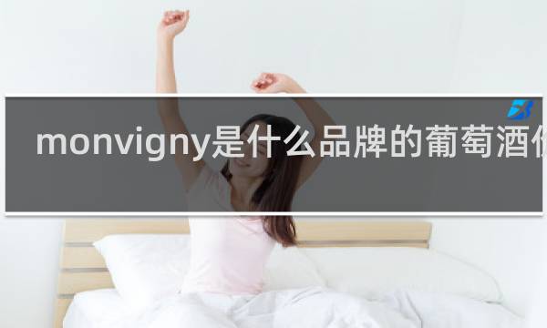 monvigny是什么品牌的葡萄酒价格