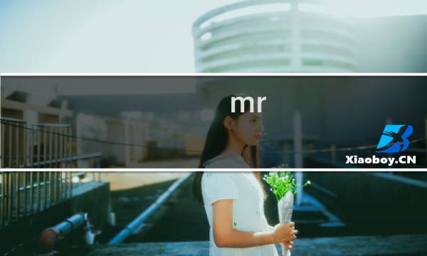 mr.x光明之书攻略