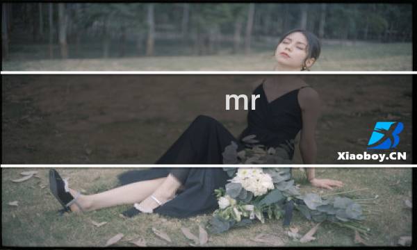 mr.x幻夜攻略