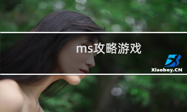 ms攻略游戏