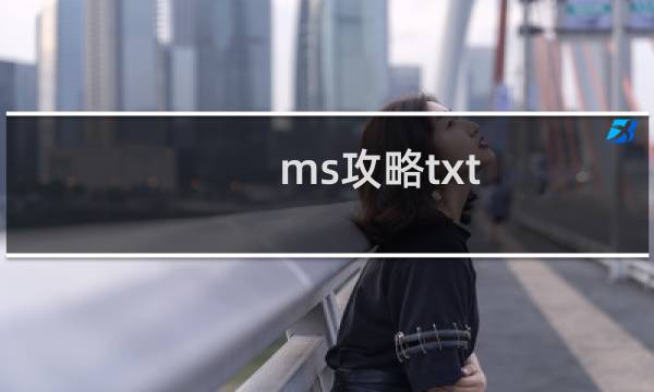 ms攻略txt