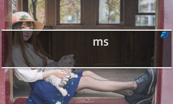 ms（office高级应用是什么（office高级应用是什么意思））图片