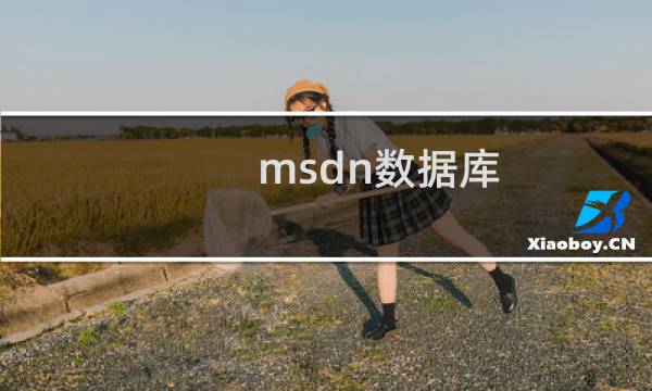 msdn数据库