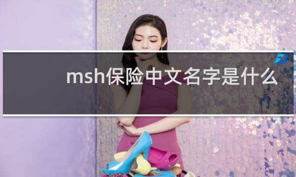 msh保险中文名字是什么