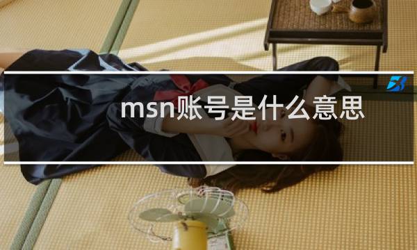 msn账号是什么意思（MSN帐号格式以及MSN用户名格式的详细介绍）图片