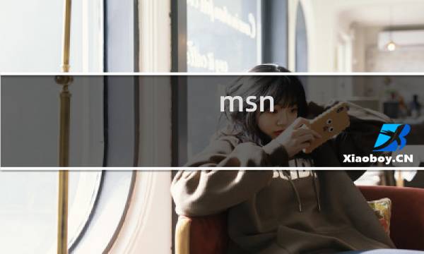 msn 巅峰时期（msn exe）