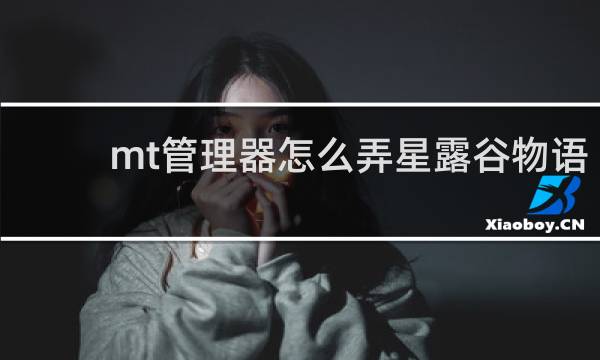 mt管理器怎么弄星露谷物语