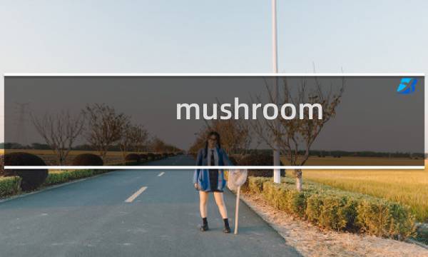 mushroom age攻略