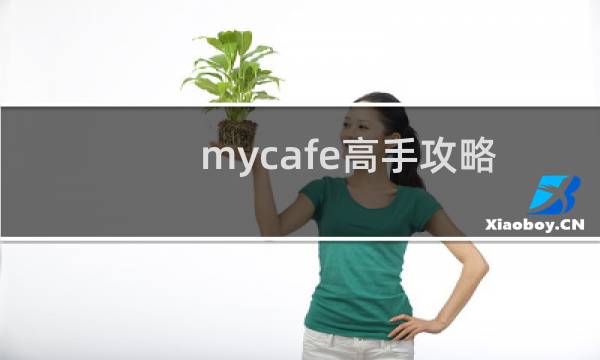 mycafe高手攻略