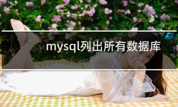 mysql列出所有数据库