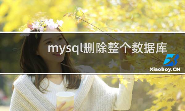 mysql删除整个数据库