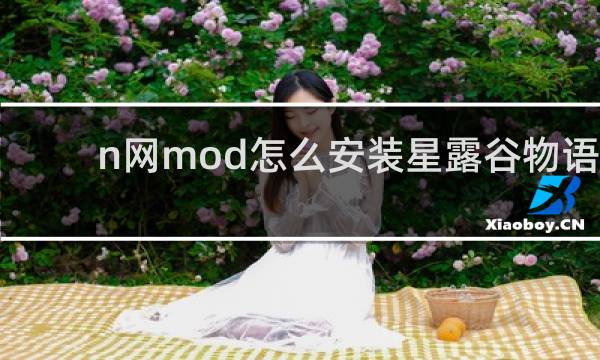 n网mod怎么安装星露谷物语