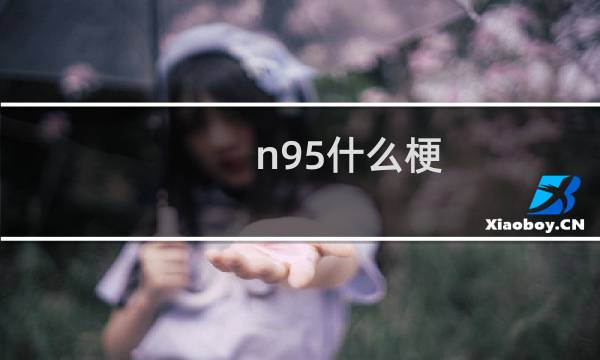 n95什么梗