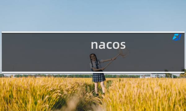 nacos 数据库