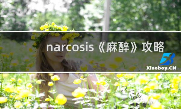 narcosis《麻醉》攻略