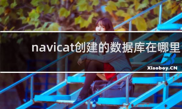 navicat创建的数据库在哪里