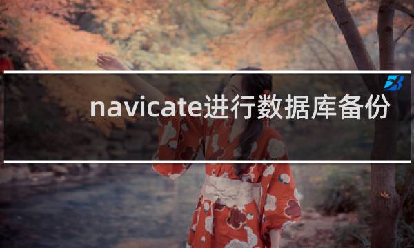 navicate进行数据库备份