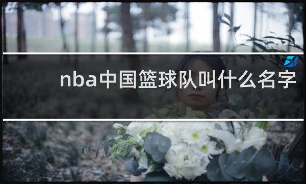 nba中国篮球队叫什么名字