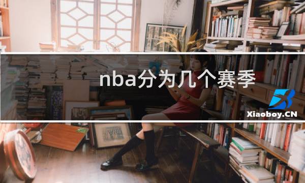 nba分为几个赛季