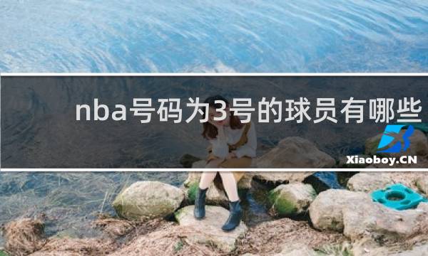 nba号码为3号的球员有哪些