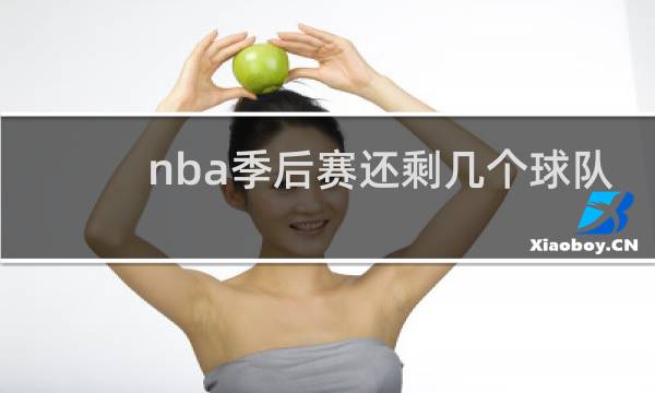 nba季后赛还剩几个球队