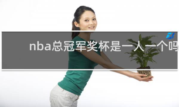 nba总冠军奖杯是一人一个吗