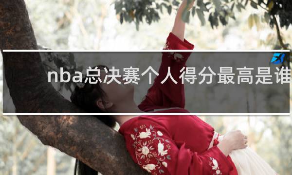 nba总决赛个人得分最高是谁