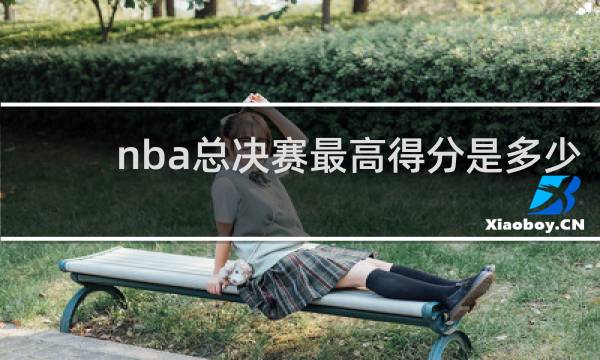 nba总决赛最高得分是多少