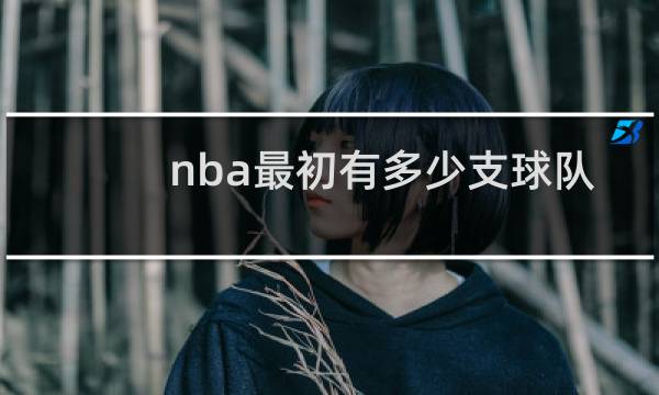 nba最初有多少支球队