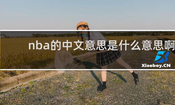 nba的中文意思是什么意思啊