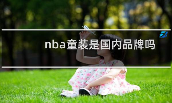 nba童装是国内品牌吗