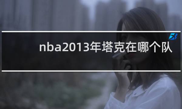 nba2013年塔克在哪个队