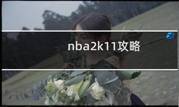 nba2k11攻略