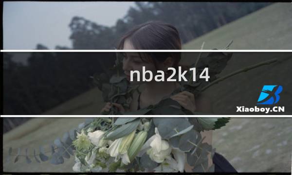 nba2k14 王朝攻略