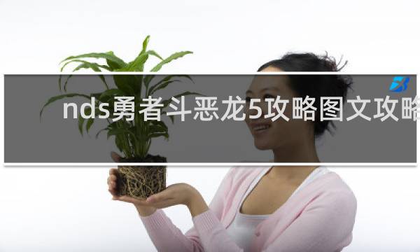 nds勇者斗恶龙5攻略图文攻略
